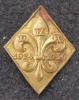 Odznaka IX Drużyny Harcerzy